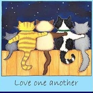 Meet your Posher, Karen